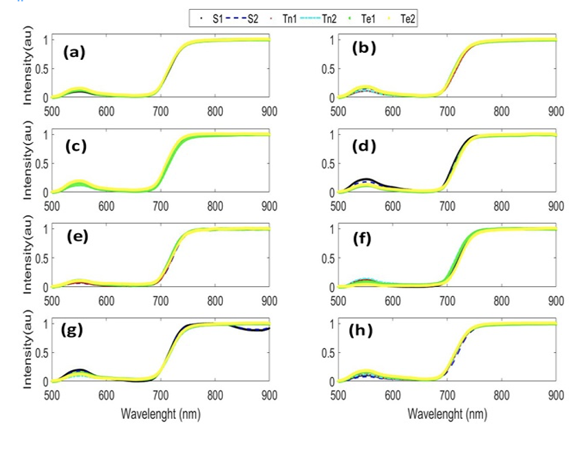 Amewotepe et al.